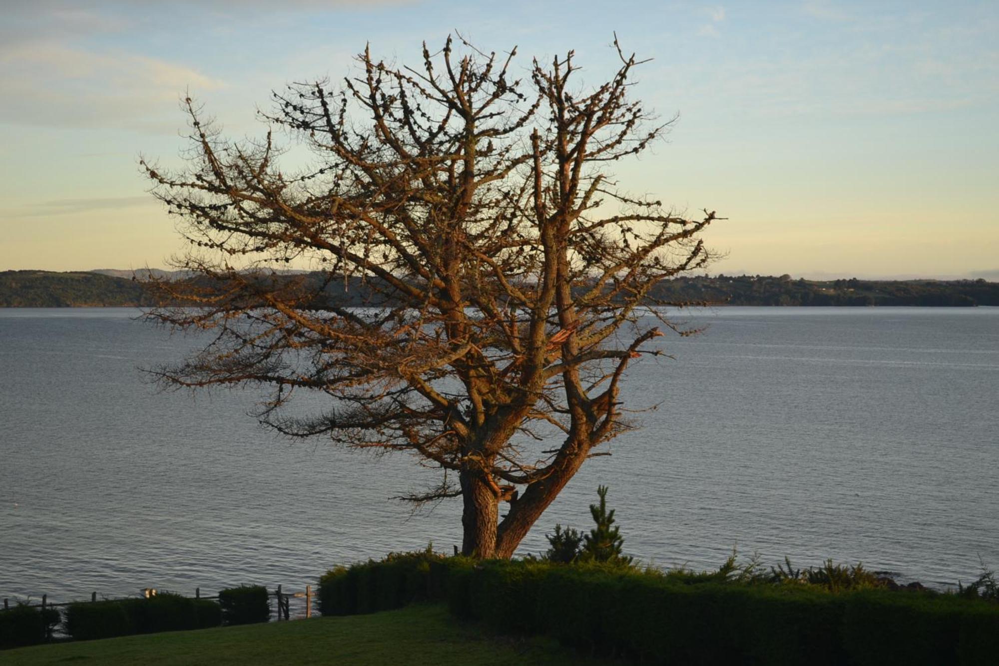 Panamericana Hotel Ancud Zewnętrze zdjęcie
